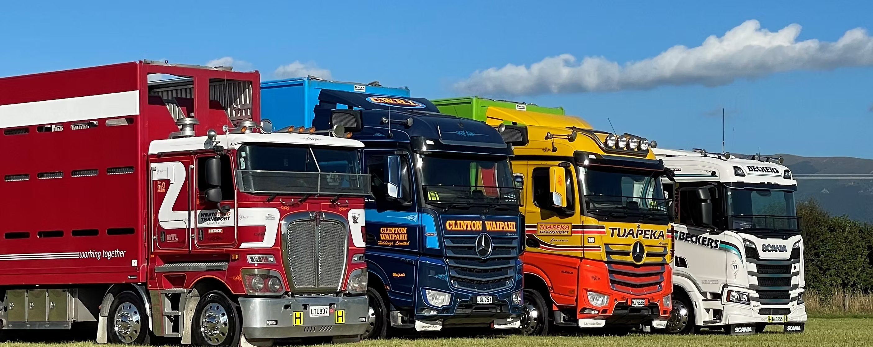 Freight trucks representing RoadTranz transport operations